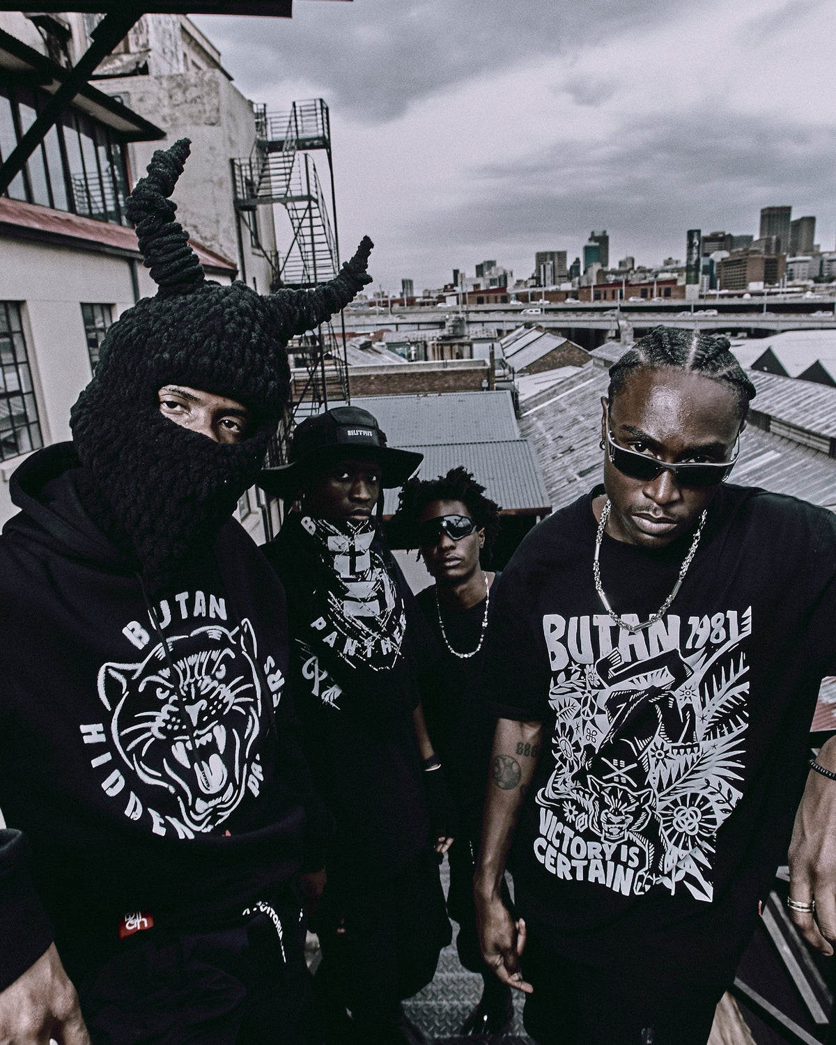 Discover the History Behind Hidden Panthers Capsule